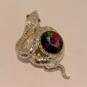 Watermelon margarita snake brooch